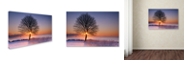Trademark Global Michael Blanchette Photography 'Tree Burst' Canvas Art, 12" x 19"